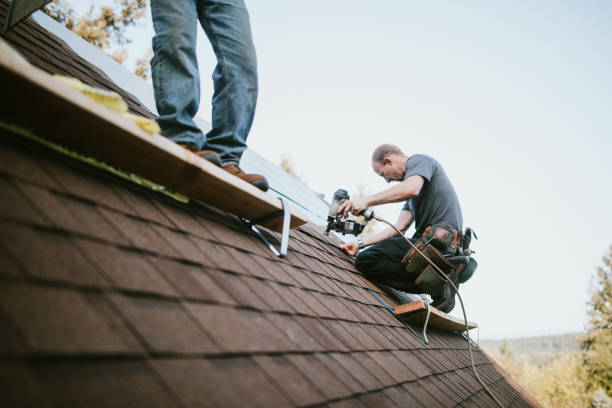 Roof Gutter Cleaning in Alvarado, TX